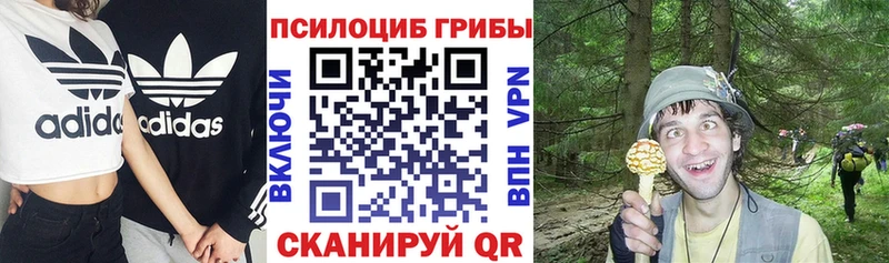 Галлюциногенные грибы ЛСД  дарнет шоп  Рудня 